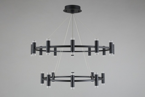 Подвесная люстра Aployt Klarcia APL.037.03.200 в Нижнем Новгороде фото 10