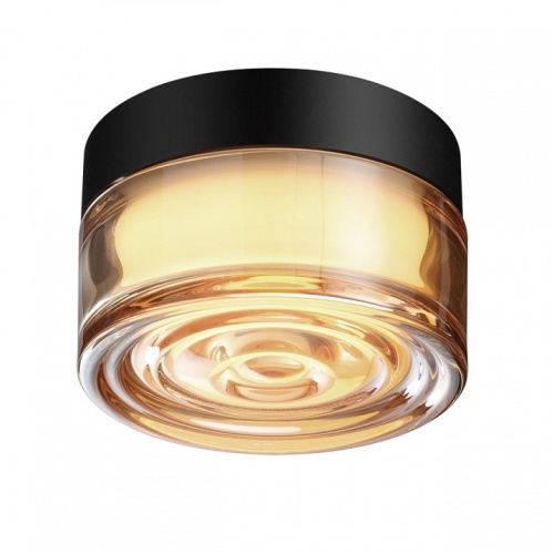 Накладной светильник Odeon Light RONDA 7158/6CL в Нижнем Новгороде фото 2