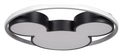 Накладной светильник Loft it Mike 10166 в Нижнем Новгороде фото 4