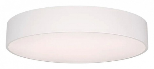 Накладной светильник Arlight TOR PILL 022130(3) в Нижнем Новгороде фото 2