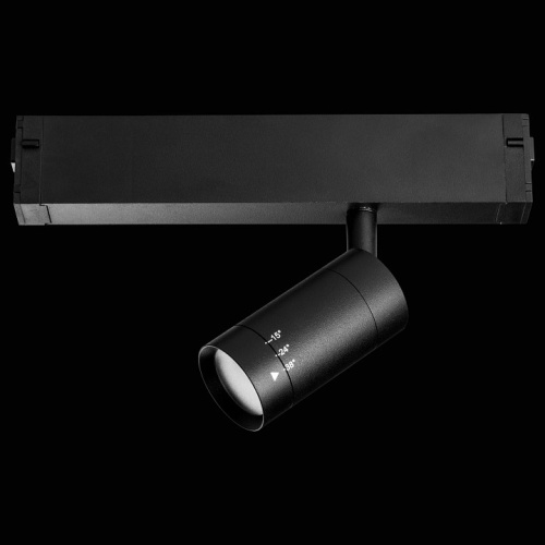 Светильник на штанге Lightstar Teta 205017R в Нижнем Новгороде фото 5