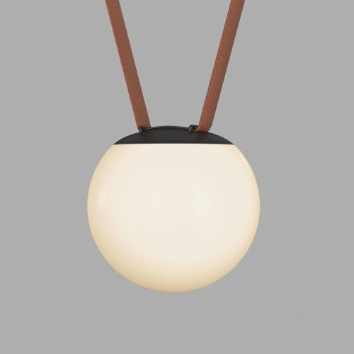 Накладной светильник Denkirs BELTY ORB DK5551-BK в Нижнем Новгороде