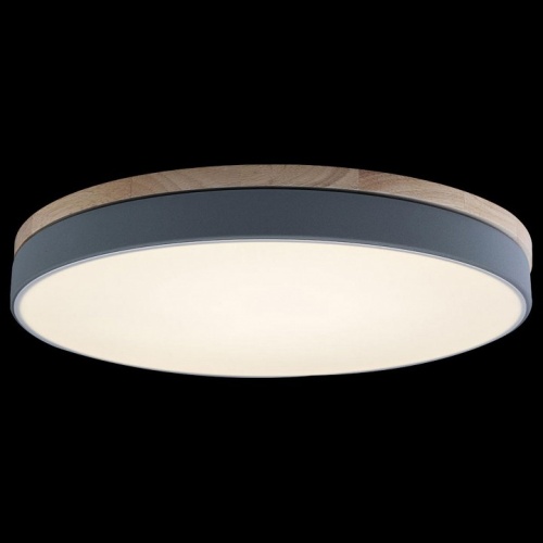 Накладной светильник Loft it Axel 10001/36 Grey в Нижнем Новгороде фото 3