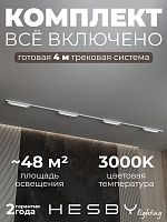 Комплект трековый Hesby Lighting Skylite №1 HSBL_kompl_S001_NI4W3K в Нижнем Новгороде