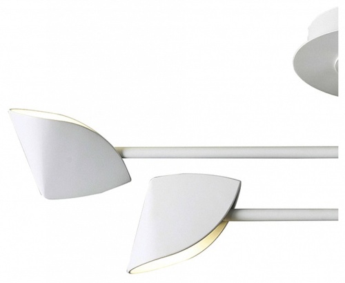 Люстра на штанге Mantra Capuccina 7574 в Нижнем Новгороде фото 4