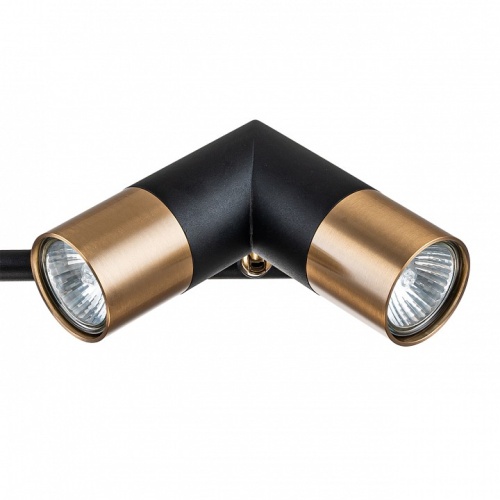 Люстра на штанге Indigo Doppio 11036/6R Black в Нижнем Новгороде фото 2