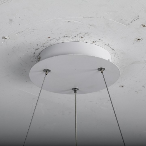 Подвесной светильник Zortes Soft ZRS.1119.02 в Нижнем Новгороде фото 8