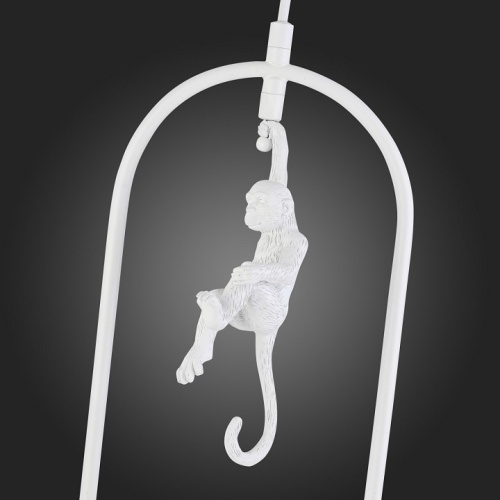 Подвесной светильник EVOLUCE Tenato SLE115123-01 в Нижнем Новгороде фото 5