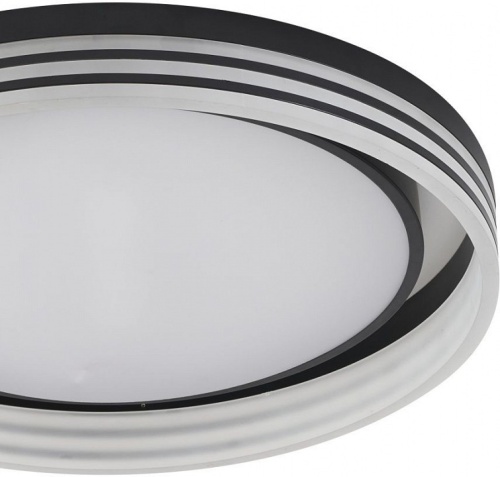 Накладной светильник Zortes Adel ZRS.1200.03 в Нижнем Новгороде фото 4