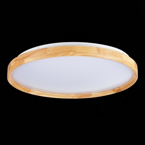 Накладной светильник EVOLUCE DELIA SLE201382-01 в Нижнем Новгороде фото 3