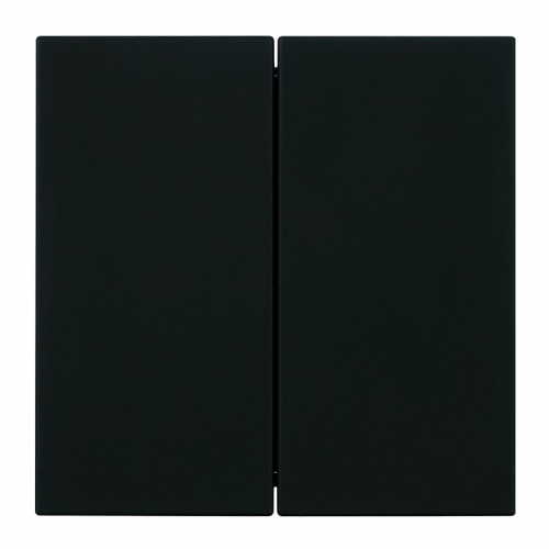 Выключатель двухклавишный без рамки Stekker Мия 50443 в Нижнем Новгороде