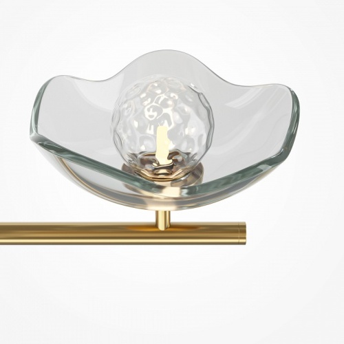 Люстра на штанге Maytoni Miracle MOD207PL-05BS в Нижнем Новгороде фото 2