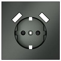 Накладка для розетки с заземлением и со шторками и 2хUSB type A Voltum S70 VLS000906 в Нижнем Новгороде
