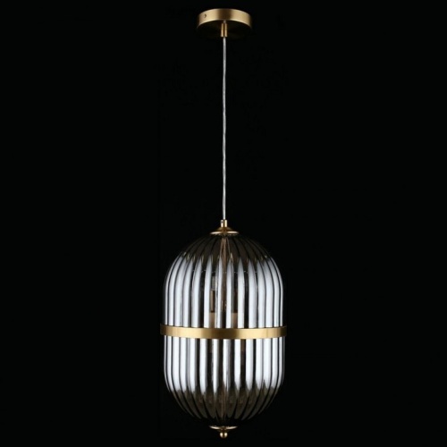 Подвесной светильник Aployt Ludovica APL.860.06.06 в Нижнем Новгороде фото 2