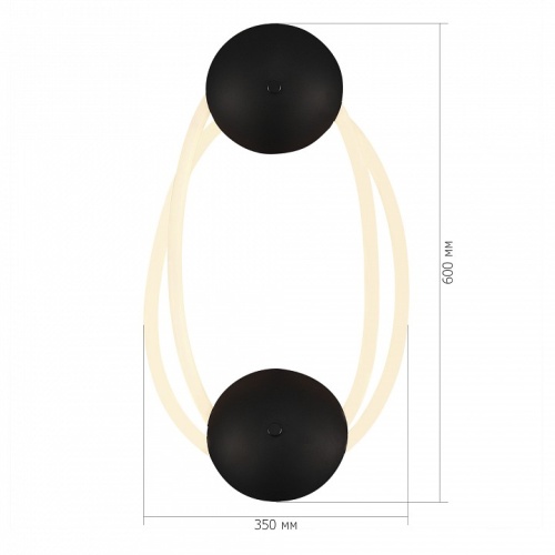 Накладной светильник ST-Luce Sagrato SL6102.421.30 в Нижнем Новгороде фото 3