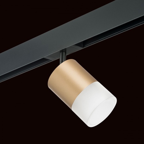 Светильник на штанге Lightstar Rullo PRO349081 в Нижнем Новгороде фото 4