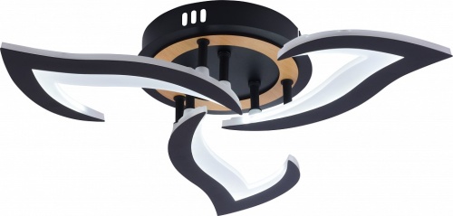 Люстра на штанге Rivoli Cassandra 6194-703 в Нижнем Новгороде фото 5