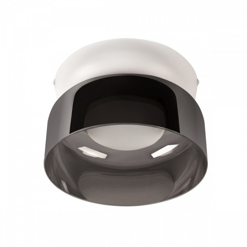 Накладной светильник Loft it Totem 10466 Smoke в Нижнем Новгороде фото 5