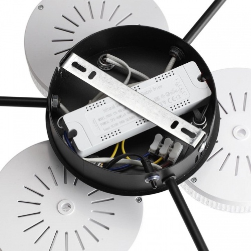 Потолочная люстра Lumion Didana 8236/6CL в Нижнем Новгороде фото 2