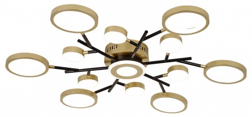 Потолочная люстра F-promo Hybrid 4686-13C в Нижнем Новгороде фото 5