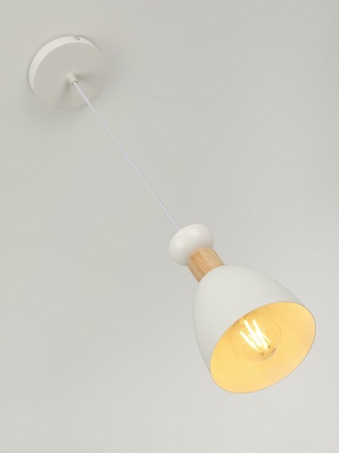 Подвесной светильник Rivoli  5109-201 в Нижнем Новгороде фото 4