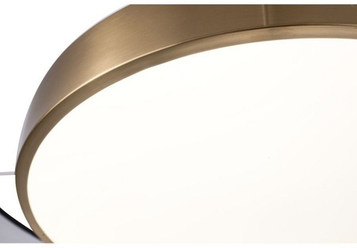 Накладной светильник Zortes Bella ZRS.27510.05 в Нижнем Новгороде фото 7