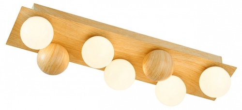 Потолочная люстра F-promo Swarm 4695-5C в Нижнем Новгороде фото 3