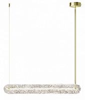 Подвесной светильник Maytoni Frostum MOD439PL-L20BSK в Нижнем Новгороде