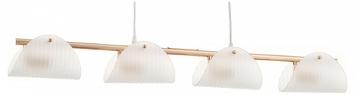 Подвесной светильник Rivoli Mariana Б0066489 в Нижнем Новгороде