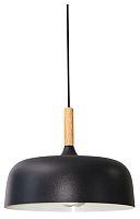 Подвесной светильник Arte Lamp KAYLA A7102SP-1BK в Нижнем Новгороде