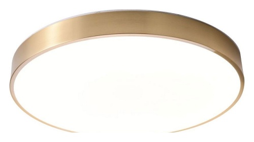 Накладной светильник Zortes Monna ZRS.1209.12 в Нижнем Новгороде фото 5