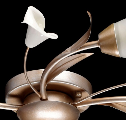 Потолочная люстра MW-Light Восторг 19 242016205 в Нижнем Новгороде фото 11