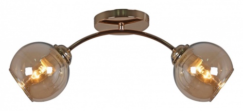 Светильник на штанге 01538-0.3-02 FGD в Нижнем Новгороде