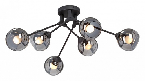 Потолочная люстра Vitaluce  V4322-1/6PL в Нижнем Новгороде