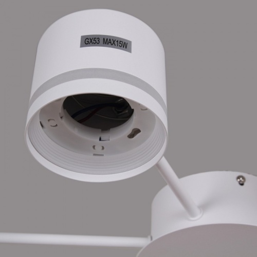 Потолочная люстра 06730-0.3-06 GX53 WT в Нижнем Новгороде фото 2