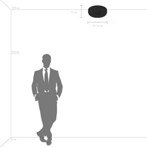 Накладной светильник Lightstar Celesta 809316 в Нижнем Новгороде фото 7