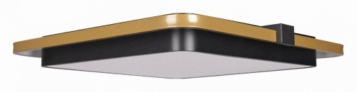 Накладной светильник Loft it Mike 10172 в Нижнем Новгороде фото 3