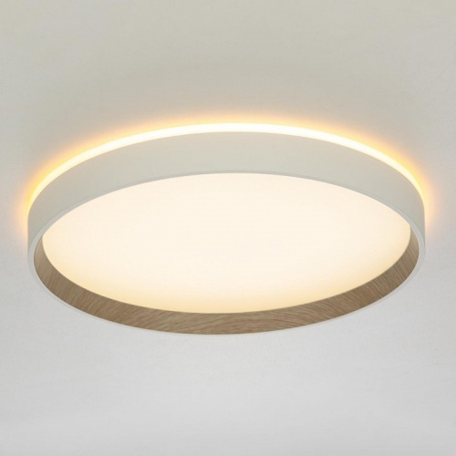 Накладной светильник Citilux ETALON CL750320R в Нижнем Новгороде фото 13