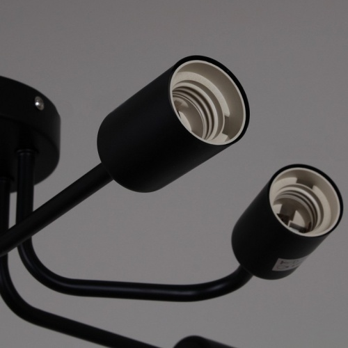 Потолочная люстра 01736-0.3-06 BK в Нижнем Новгороде фото 2