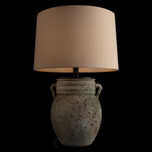 Настольная лампа декоративная Loft it Ewer 10516T в Нижнем Новгороде фото 4