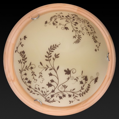 Накладной светильник TopLight Irene TL9630Y-00PN в Нижнем Новгороде фото 3