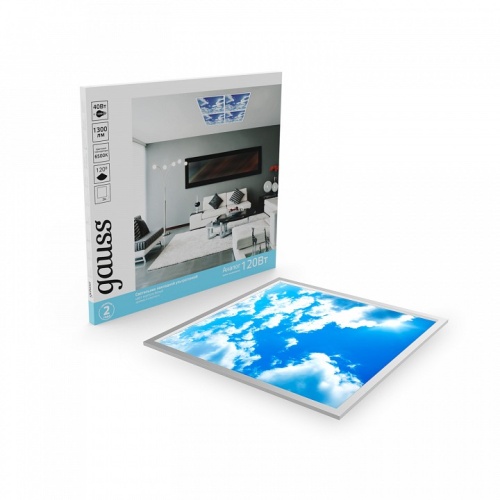 Накладной светильник Gauss Небл 846511340 в Нижнем Новгороде фото 5