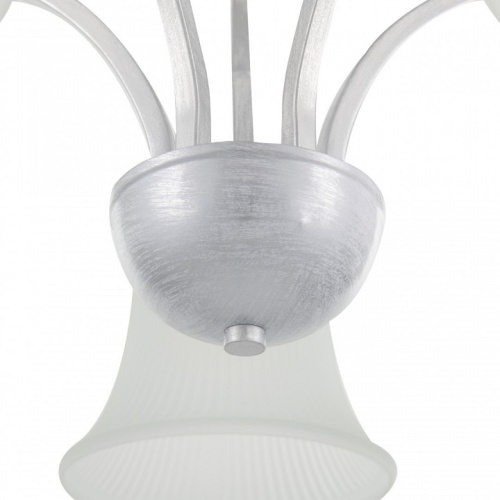 Потолочная люстра Arte Milano Napoli-1254 331254/5 WT+SL в Нижнем Новгороде фото 2