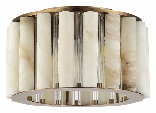 Накладной светильник ST-Luce Delight SL1516.302.06 в Нижнем Новгороде