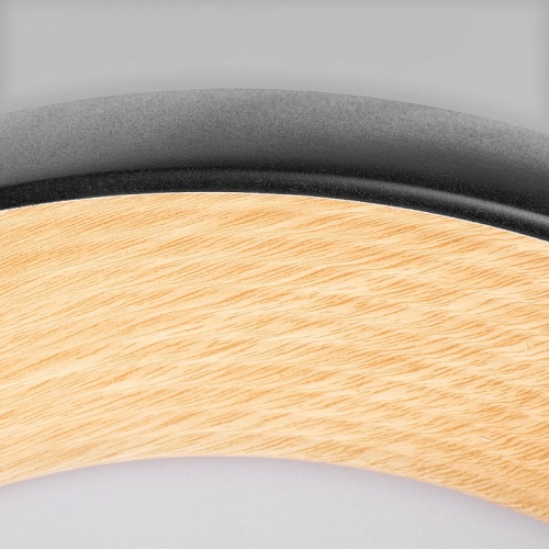 Накладной светильник Loft it Folk 10255/500 Black в Нижнем Новгороде фото 2