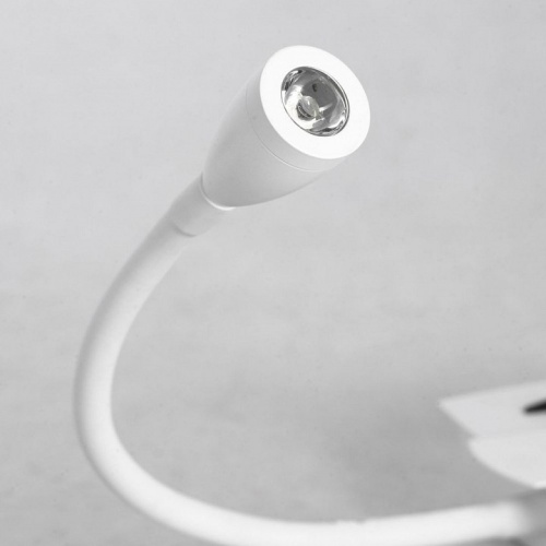 Бра с подсветкой Lussole Cozy 2 GRLSP-8234 в Нижнем Новгороде фото 3