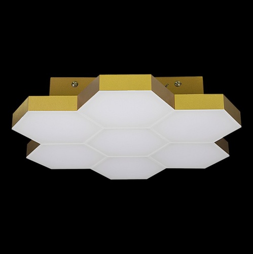 Накладной светильник Lightstar Favo 750073 в Нижнем Новгороде фото 2