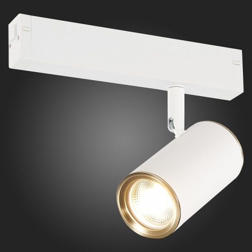 Светильник на штанге ST-Luce SKYLINE 220 ST504.536.01 в Нижнем Новгороде фото 2