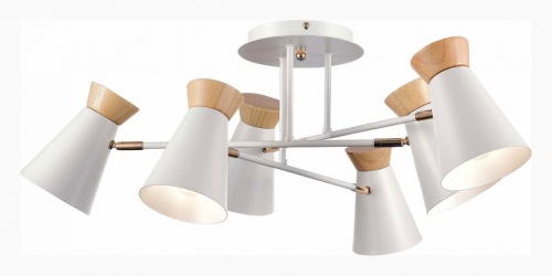 Потолочная люстра EVOLUCE Alfeo SLE1252-502-06 в Нижнем Новгороде фото 5