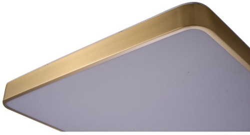 Накладной светильник Zortes Monna ZRS.1209.05 в Нижнем Новгороде фото 5